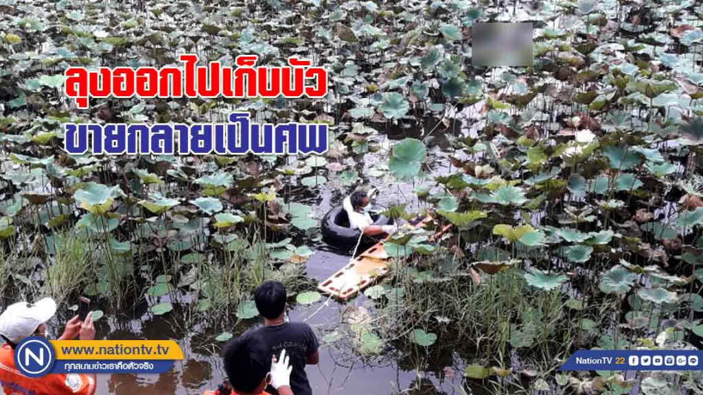 ลุงออกไปเก็บบัวขาย "กลายเป็นศพ" กลางบึง
