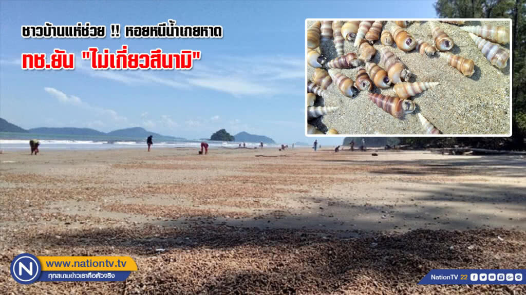 ชาวบ้านแห่ช่วย !! หอยหนีน้ำเกยหาด เกรงสูญพันธุ์ ด้าน ทช.ยัน "ไม่เกี่ยวสึนามิ"