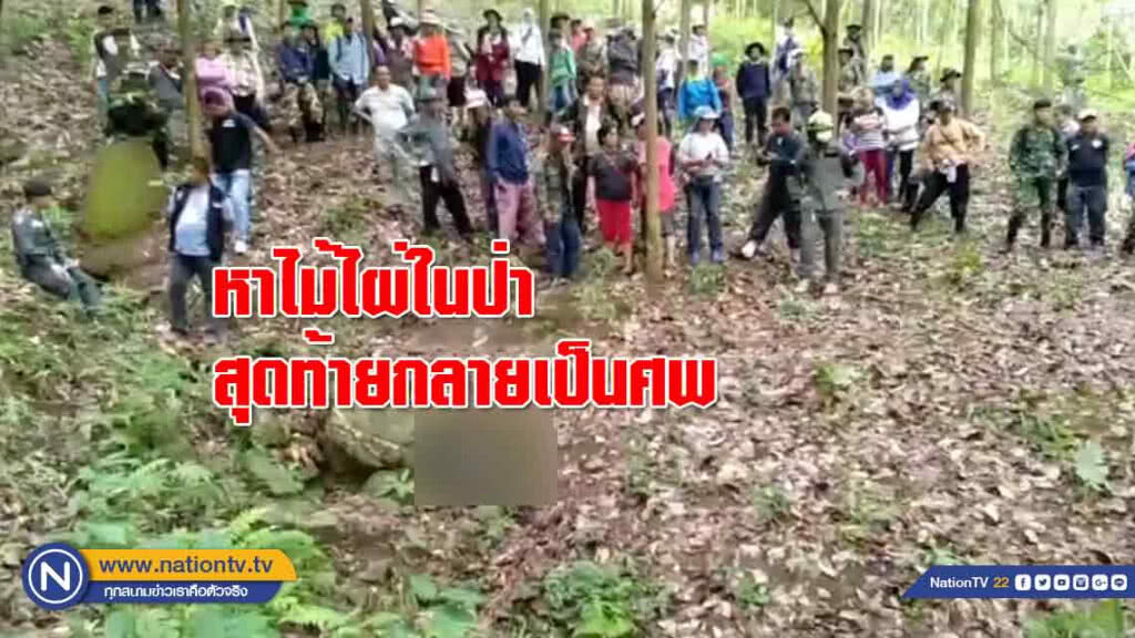 'กลายเป็นศพ' พ่อเฒ่านอนตายกลางห้วยหลังหาไม้ไผ่ในป่า