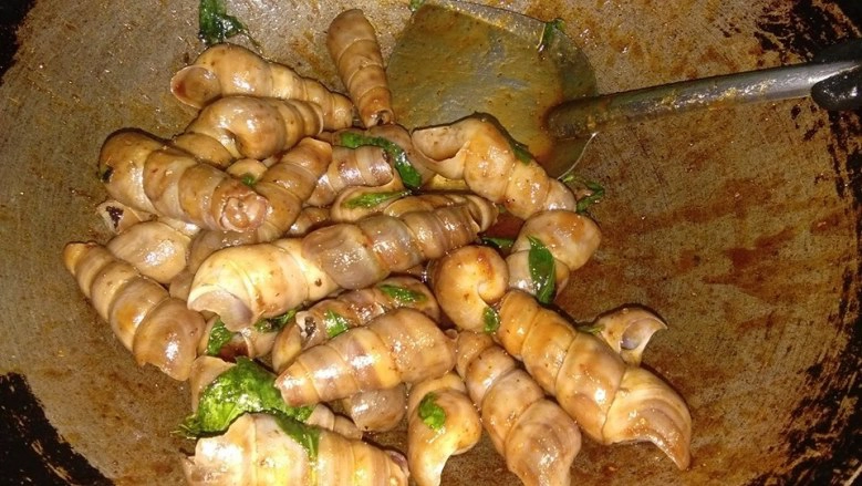 ชาวบ้านแห่ช่วย !! หอยหนีน้ำเกยหาด เกรงสูญพันธุ์ ด้าน ทช.ยัน "ไม่เกี่ยวสึนามิ"