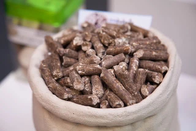 "มันสำปะหลัง" ความมหัศจรรย์ที่อยู่รอบตัวเรา