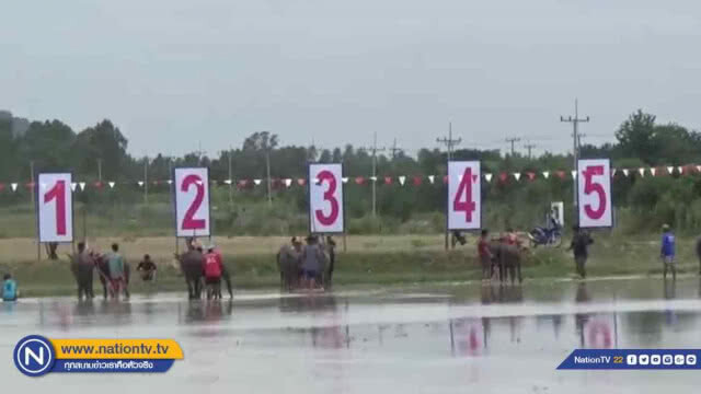 อบต.คลองกิ่วจัดงาน "อนุรักษ์" ท้องถิ่นวิ่งควายคราดนา