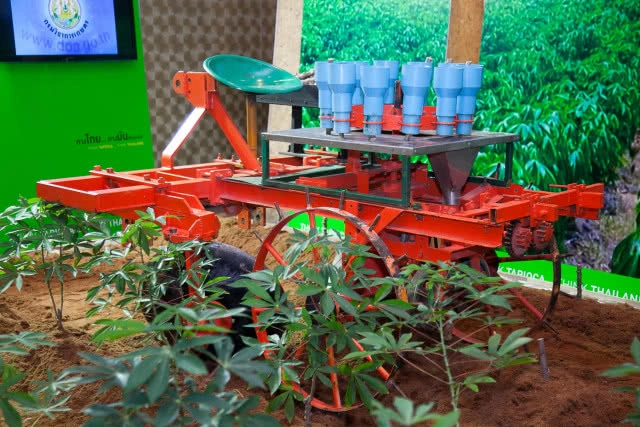 "มันสำปะหลัง" ความมหัศจรรย์ที่อยู่รอบตัวเรา