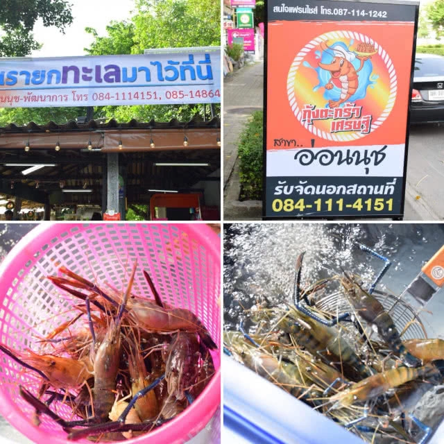 อร่อยปักหมุด : กุ้งตะกร้าเศรษฐี สาขาอ่อนนุช กุ้งเป็นๆสดๆ สั่งย่างกลับบ้าน นั่งแทะหัวกุ้งสบายๆ
