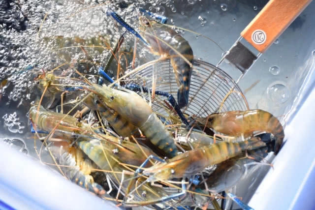 อร่อยปักหมุด : กุ้งตะกร้าเศรษฐี สาขาอ่อนนุช กุ้งเป็นๆสดๆ สั่งย่างกลับบ้าน นั่งแทะหัวกุ้งสบายๆ