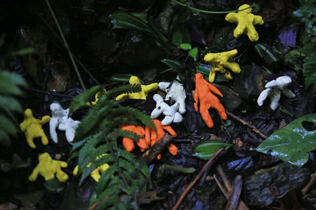 เจาะพิธีกรรมคาถา "ขอขมา" เจ้าป่าเจ้าเขา