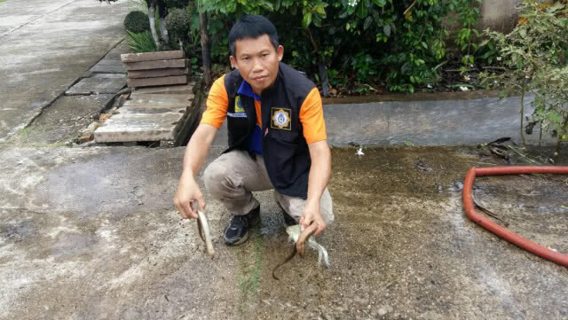 เกิดเหตุแก๊สแอมโมเนียรั่วที่โรงน้ำแข็งตั้งจิตนุสรณ์