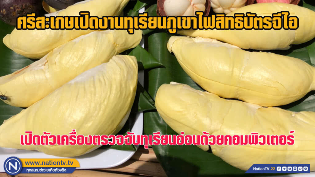 เปิดงานทุเรียนภูเขาไฟสิทธิบัตรจีไอ ตรวจจับทุเรียนอ่อนที่ศรีสะเกษ - 29 มิ.ย.ถึง 8 ก.ค.2561