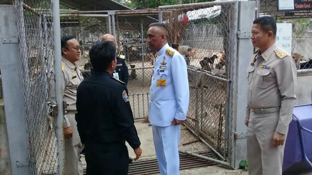 ในหลวง ร.10 โปรดเกล้าฯ ผู้แทนพระองค์อัญเชิญอาหารสัตว์พระราชทาน มอบศูนย์ฟื้นฟูสุนัขจ.บุรีรัมย์