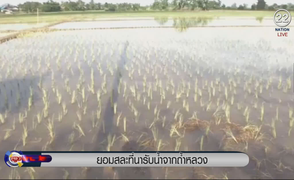 (คลิปข่าว) ยอมสละที่นารับน้ำจากถ้ำหลวง ช่วย 13 ชีวิต (คลิปข่าว) ยอมสละที่นารับน้ำจากถ้ำหลวง ช่วย 13 ชีวิต