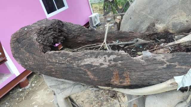 ครอบครัวโป๊งเหน่งดวงดีถูกหวย 130 ใบ หลังดูเลขอ่างน้ำมนต์กุมารเจ้าสัวเฮง