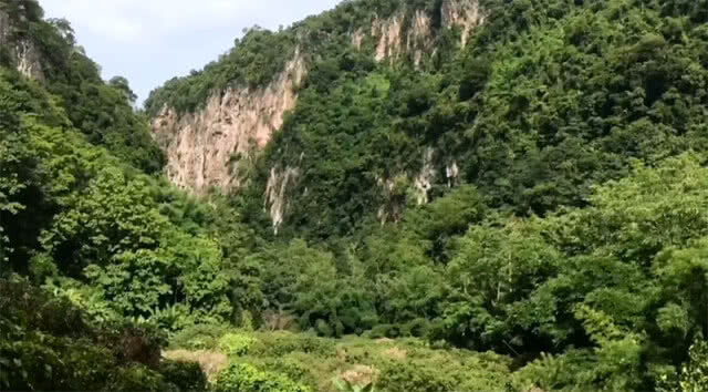 เบี่ยงน้ำบน "ดอยผาหมี" ไม่ให้เข้าถ้ำหลวง (มีคลิป)