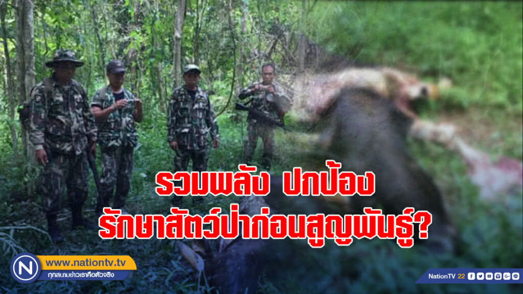 รวมพลัง ปกป้อง รักษาสัตว์ป่าก่อนสูญพันธู์?