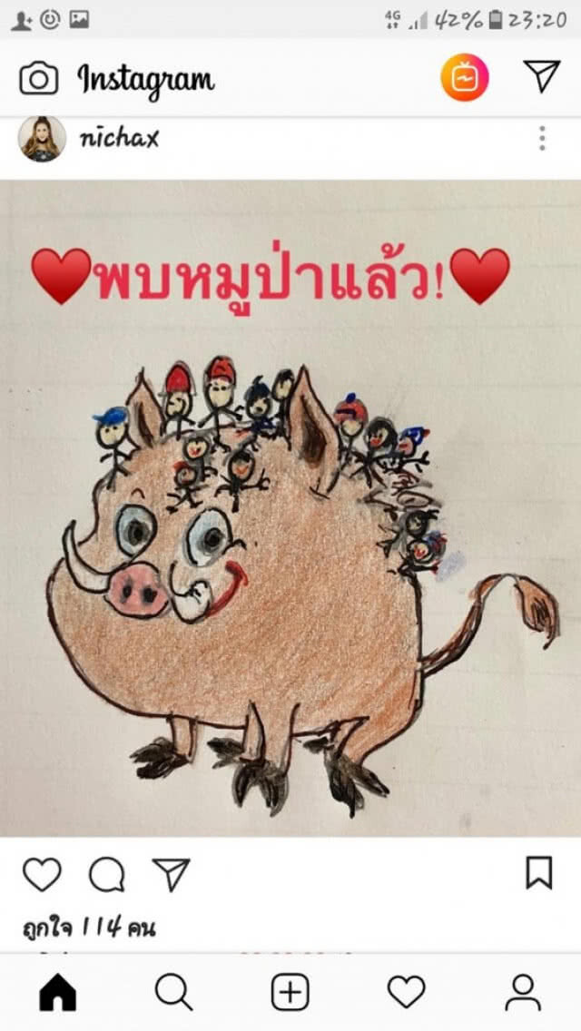 "ทูลกระหม่อมหญิงอุบลรัตน์ฯ" ทรงโพสต์ไอจีดีใจพบหมูป่าแล้ว