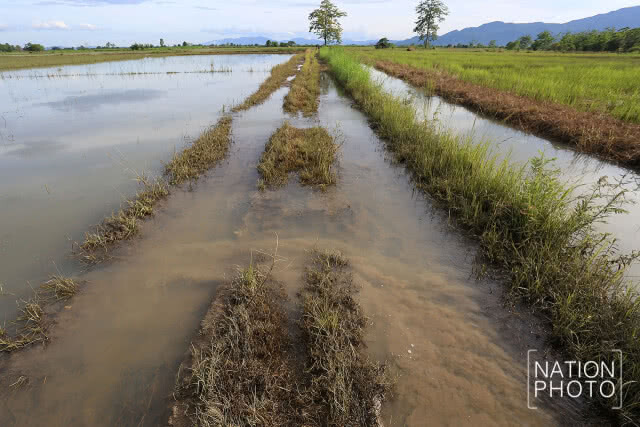 รมช.เกษตรฯ สั่งชดเชยชาวนาพื้นที่รับน้ำ ช่วย 13 ชีวิตติดถ้ำหลวง ไร่ละ 1,100 บาท