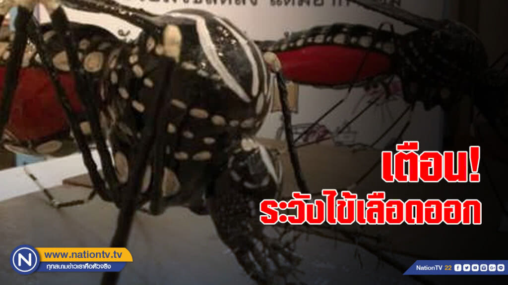 "ม.ขอนแก่น" เตือน! ระวัง "ไข้เลือดออก" พบผู้ป่วยแล้ว 4 ราย "ม.ขอนแก่น" เตือน! ระวัง "ไข้เลือดออก" พบผู้ป่วยแล้ว 4 ราย