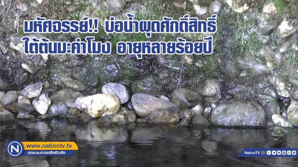 มหัศจรรย์!! บ่อน้ำผุดศักดิ์สิทธิ์ใต้ต้นมะค่าโมง อายุหลายร้อยปี