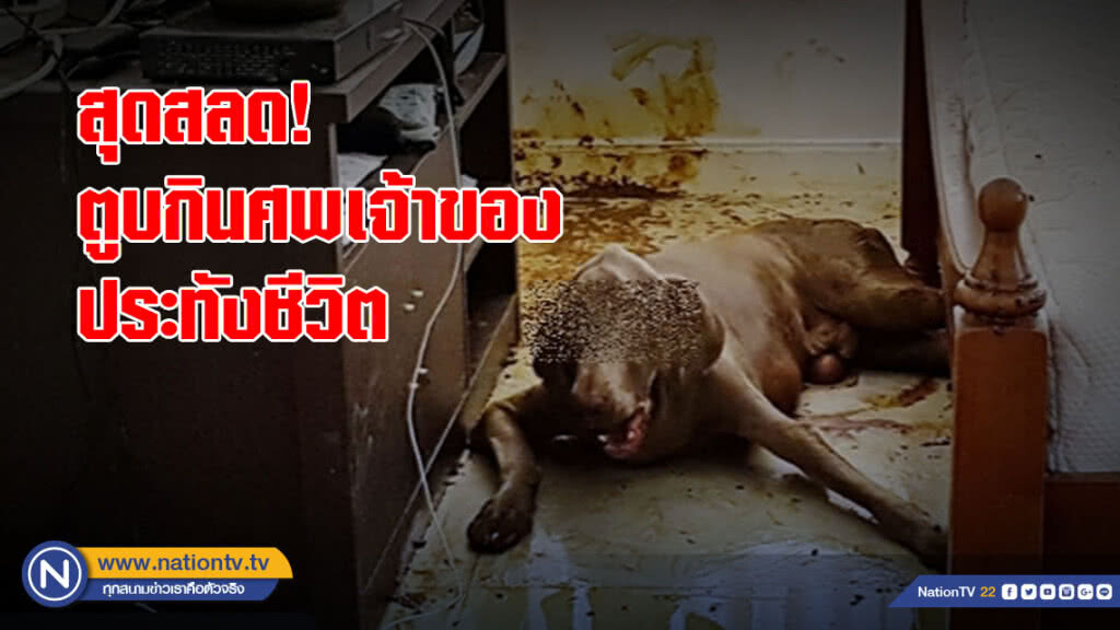 สุดสลด! ตูบกินศพเจ้าของ ประทังชีวิต