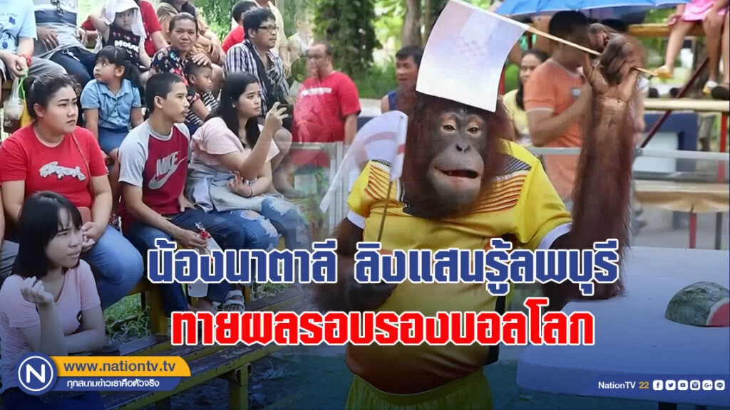 น้องนาตาลีลิงแสนรู้ลพบุรี ทายผลรอบรองบอลโลก2018