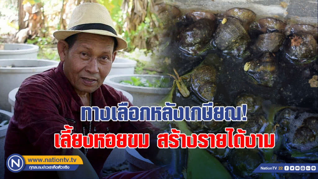 ทางเลือกหลังเกษียณ! เลี้ยงหอยขมสร้างรายได้งาม