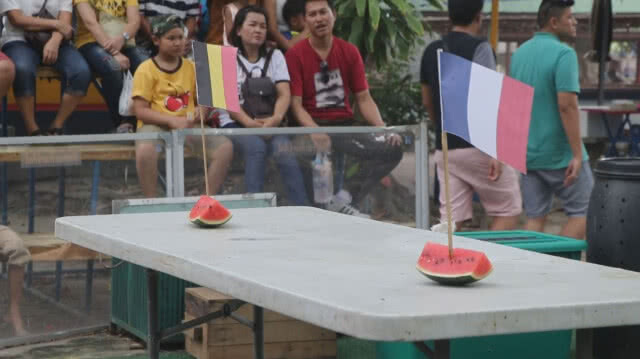 น้องนาตาลีลิงแสนรู้ลพบุรี ทายผลรอบรองฟุตบอลโลก 2018 (ชมคลิปทำนายผล)