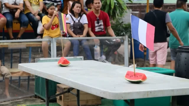 น้องนาตาลีลิงแสนรู้ลพบุรี ทายผลรอบรองบอลโลก2018