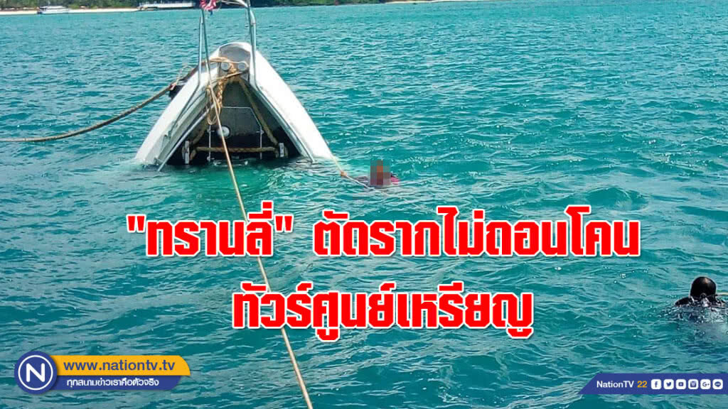 "ทรานลี่" ตัดรากไม่ถอนโคนทัวร์ศูนย์เหรียญ