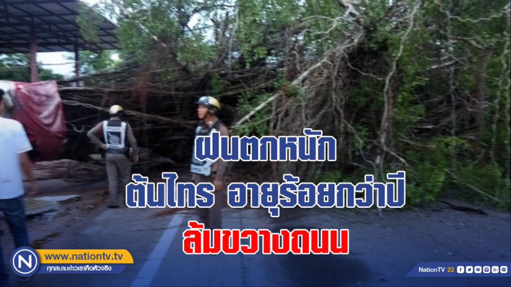 ฝนตกหนัก พัดต้นไทรอายุร้อยกว่าปี ล้มขวางถนน กระบะมองไม่เห็นชนเจ็บสาหัส 1 ราย ฝนตกหนัก พัดต้นไทรอายุร้อยกว่าปี ล้มขวางถนน กระบะมองไม่เห็นชนเจ็บสาหัส 1 ราย