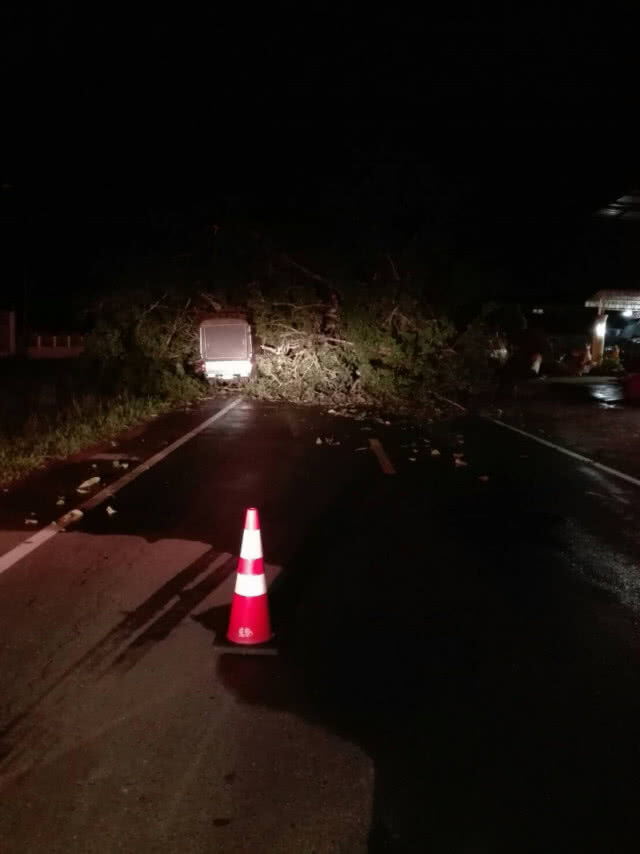 ฝนตกหนัก พัดต้นไทรอายุร้อยกว่าปี ล้มขวางถนน กระบะมองไม่เห็นชนเจ็บสาหัส 1 ราย
