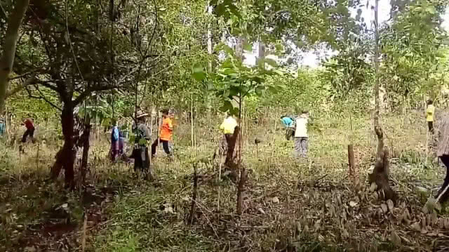 ปลูกป่าชุมชนบ้านถ้ำลอด ถวายเป็นพระราชกุศล แด่ในหลวง ร.10