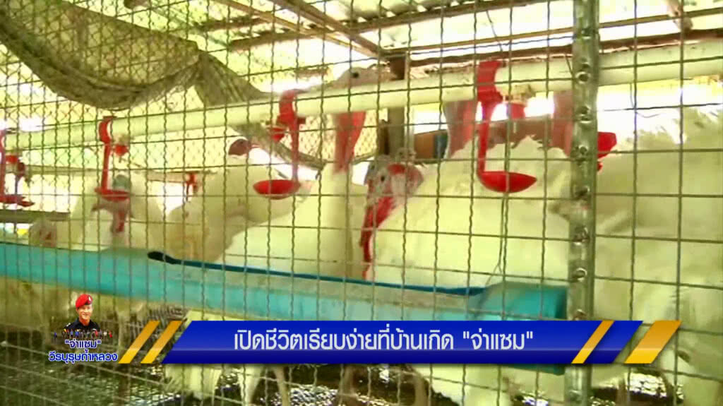เปิดชีวิตเรียบง่ายที่บ้านเกิด "จ่าแซม"
