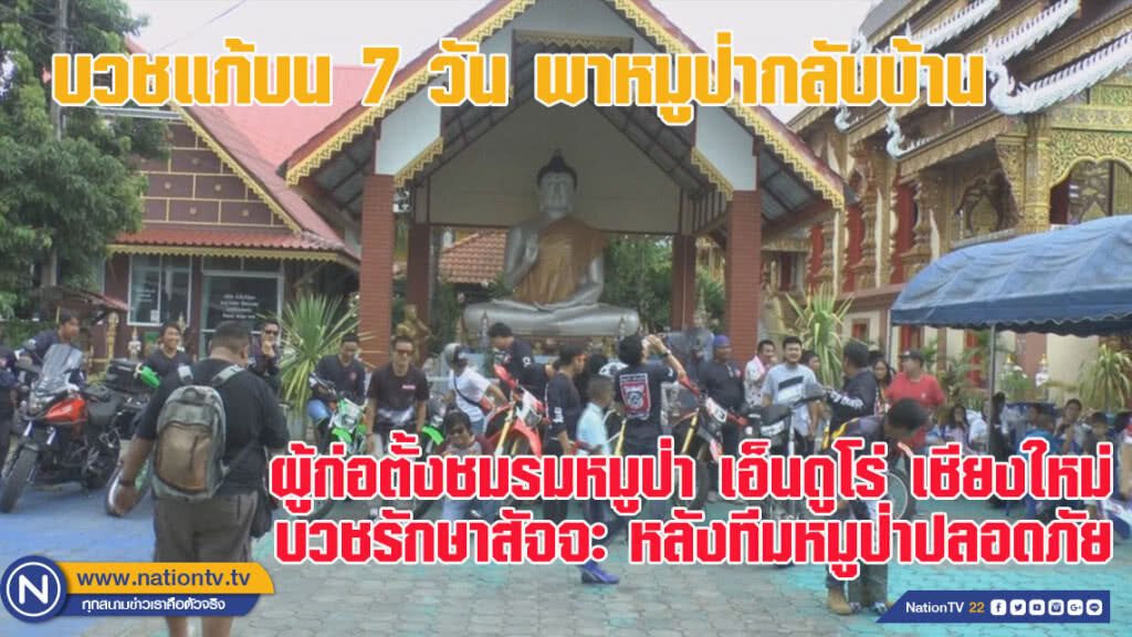 เชียงใหม่-บวชแก้บน 7 วัน พาหมูป่ากลับบ้าน (ชมคลิป) เชียงใหม่-บวชแก้บน 7 วัน พาหมูป่ากลับบ้าน (ชมคลิป)