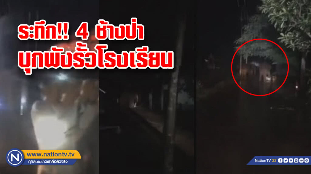 4 ช้างป่าบุกพังรั้วหาอาหารกินในโรงเรียน