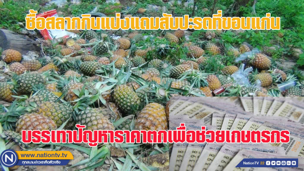 ซื้อล็อตเตอรี่แถมสับปะรดที่ขอนแก่น บรรเทาปัญหาราคาตกเพื่อช่วยผู้ปลูก