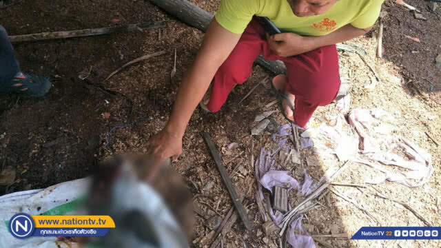 พบโลมาอิรวดีลอยตายใกล้เกาะค้างคาว