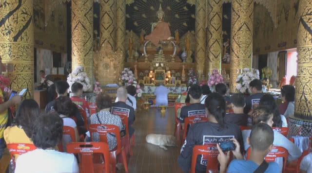 เชียงใหม่-บวชแก้บน 7 วัน พาหมูป่ากลับบ้าน (ชมคลิป)