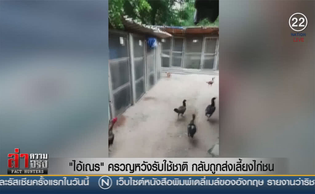 (คลิปข่าว) "ไอ้เณร" ครวญหวังรับใช้ชาติ กลับถูกส่งเลี้ยงไก่ชน (คลิปข่าว) "ไอ้เณร" ครวญหวังรับใช้ชาติ กลับถูกส่งเลี้ยงไก่ชน