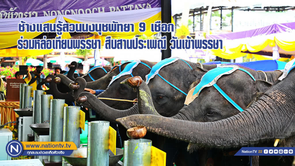ช้างแสนรู้สวนนงนุชพัทยา 9 เชือก ร่วมหล่อเทียนพรรษา สืบสานประเพณี วันเข้าพรรษา(มีคลิป) ช้างแสนรู้สวนนงนุชพัทยา 9 เชือก ร่วมหล่อเทียนพรรษา สืบสานประเพณี วันเข้าพรรษา(มีคลิป)