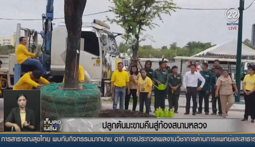 (คลิปข่าว) ปลูกต้นมะขามคืนสู่ท้องสนามหลวง