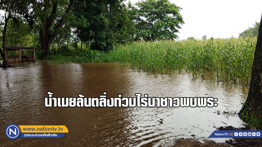 น้ำเมยล้นตลิ่ง ท่วมไร่นาชาวพบพระ (มีคลิป)