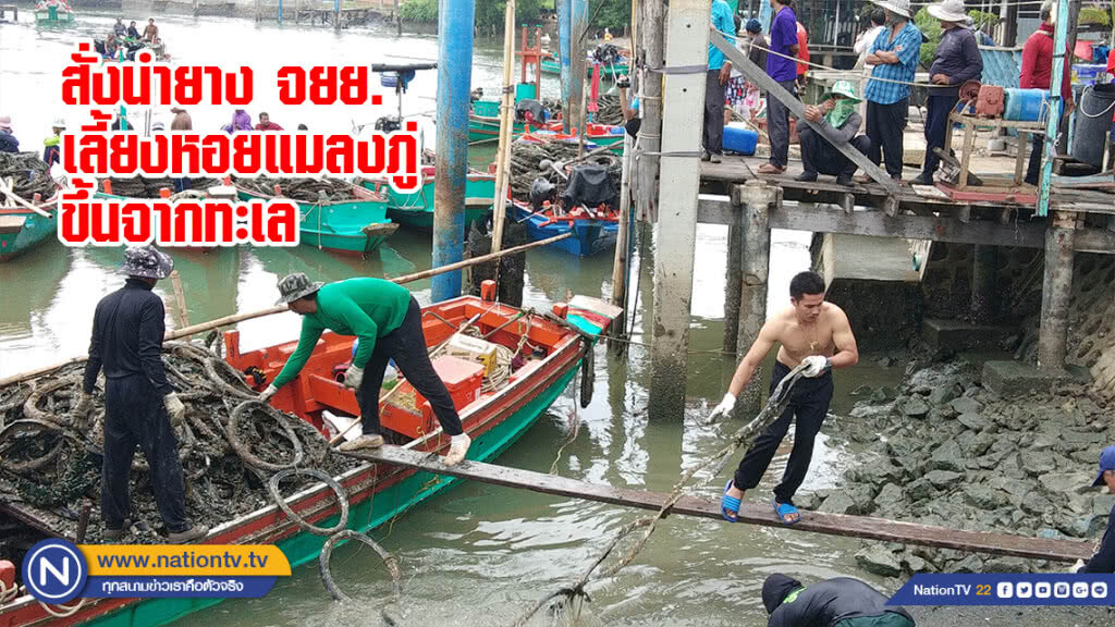 สั่งนำยาง จยย.เลี้ยงหอยแมลงภู่ขึ้นจากทะเล