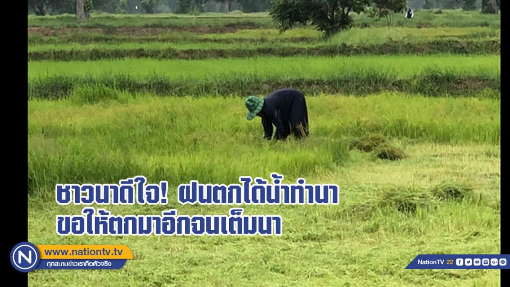 ชาวนาดีใจ! ฝนตกได้น้ำทำนาขอให้ตกมาอีกจนเต็มนา