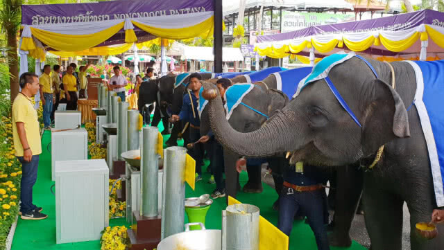 ช้างแสนรู้สวนนงนุชพัทยา 9 เชือก ร่วมหล่อเทียนพรรษา สืบสานประเพณี วันเข้าพรรษา(มีคลิป)