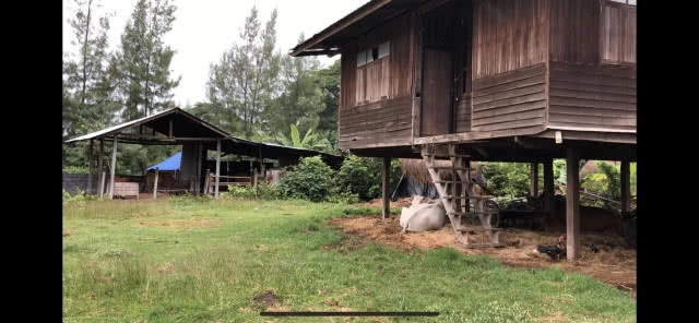 ชาวนาดีใจ! ฝนตกได้น้ำทำนาขอให้ตกมาอีกจนเต็มนา