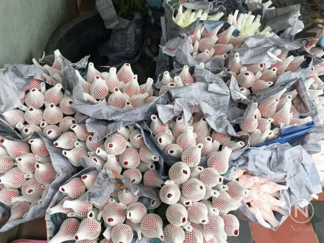 พะเยา-กุหลาบแดงขาดตลาด แห่ซื้อมอบให้ผู้ว่าฯณรงค์ศักดิ์