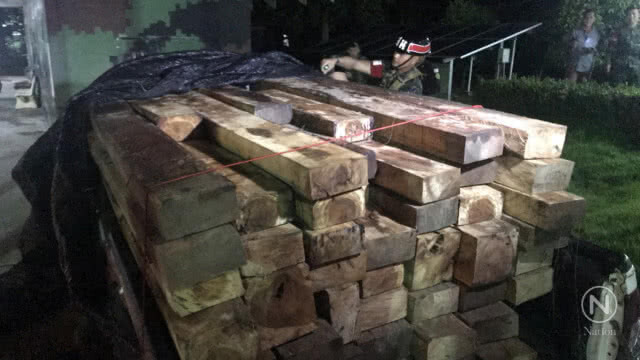 ยึดไม้หวงห้ามบรรทุกมาเต็มคัน หลังเกิดอุบัติเหตุ