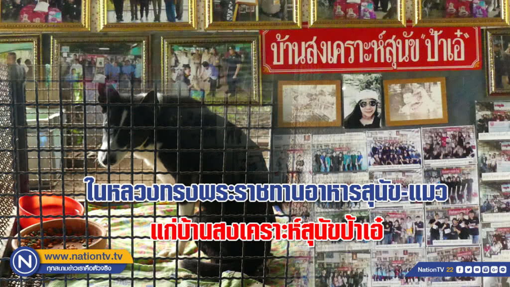 ในหลวงทรงพระราชทานอาหารสุนัข-แมว แก่บ้านสงเคราะห์สุนัขป้าเอ๋