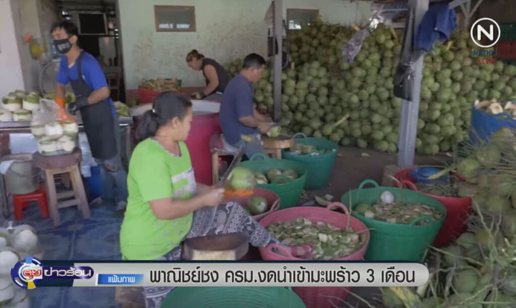 (คลิปข่าว) พาณิชย์ชง ครม.งดนำเข้ามะพร้าว 3 เดือน (คลิปข่าว) พาณิชย์ชง ครม.งดนำเข้ามะพร้าว 3 เดือน