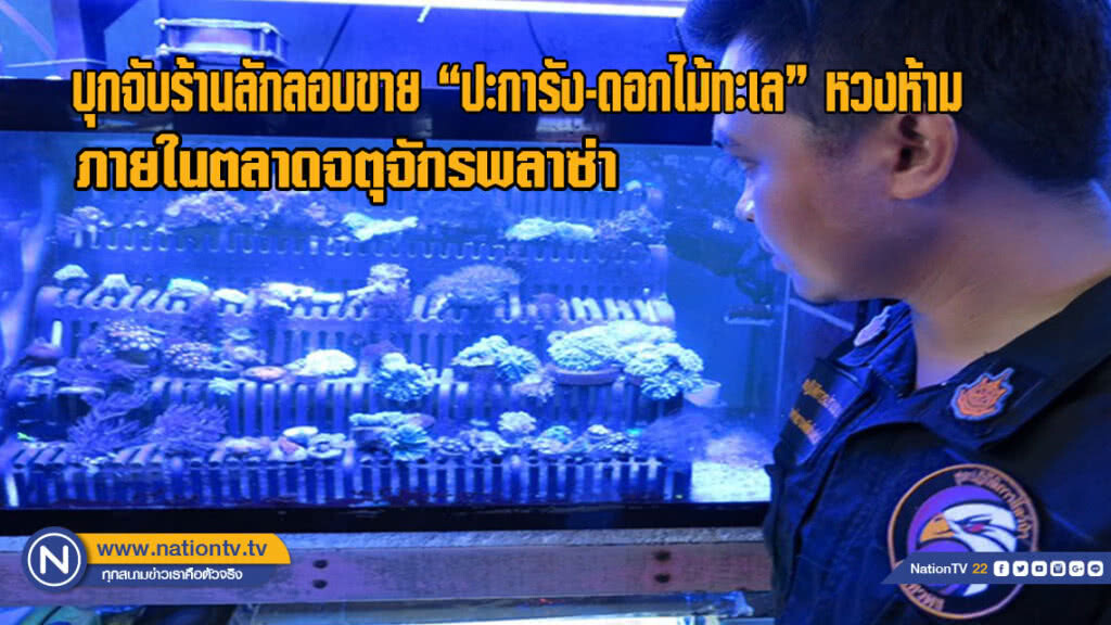 ปทส.บุกจับร้านลักลอบขาย "ปะการัง-ดอกไม้ทะเล" หวงห้าม ภายในตลาดจตุจักรพลาซ่า (มีคลิป)
