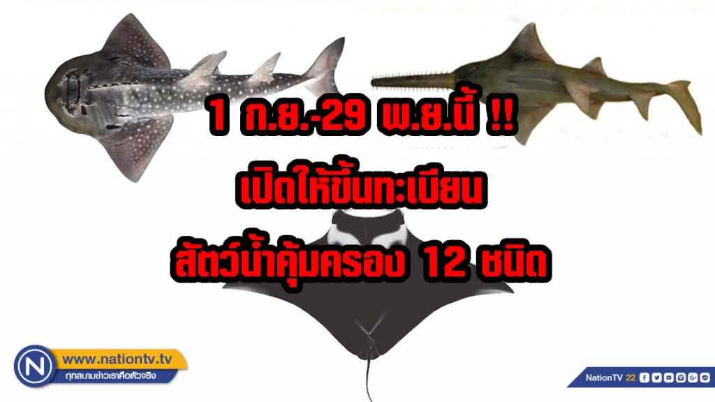 1 ก.ย.-29 พ.ย.นี้ !! เตรียมเปิดให้ขึ้นทะเบียนสัตว์น้ำ 12 ชนิด หลังถูกประกาศขึ้นบัญชีสัตว์ป่าคุ้มครอง